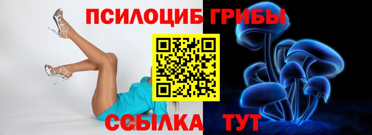Псилоцибиновые грибы мухоморы Тутаев